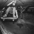 kupa, lien to tail pic:blaz
